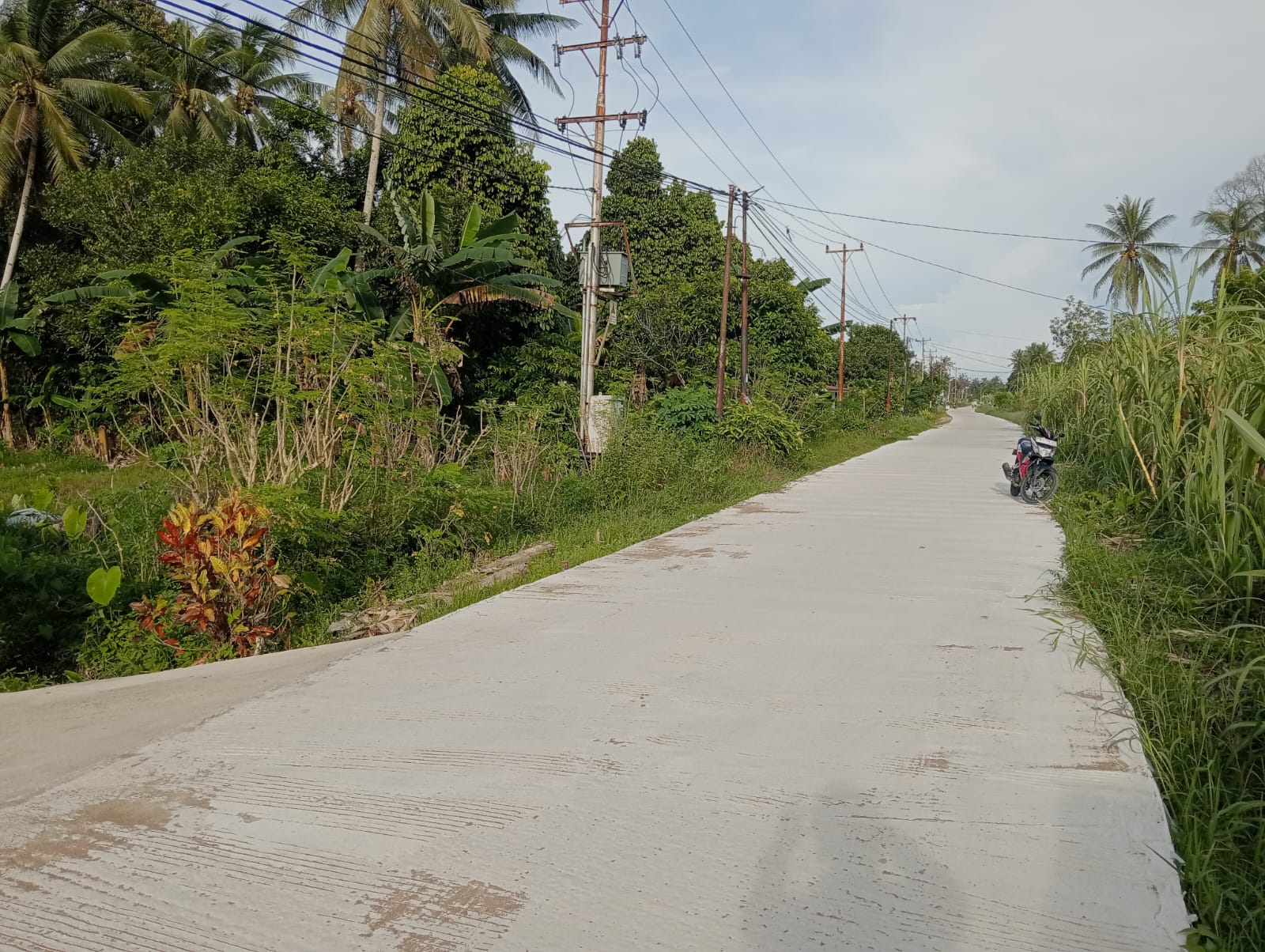 Foto Tanah