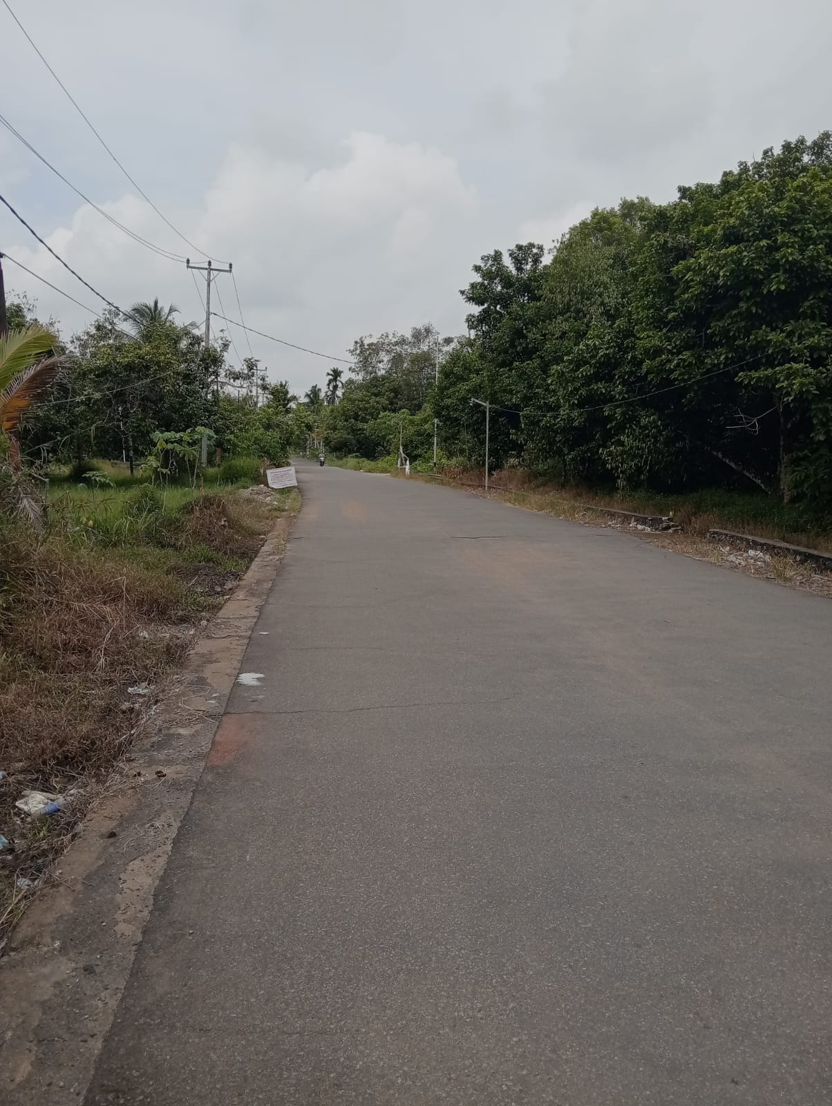 Foto Tanah